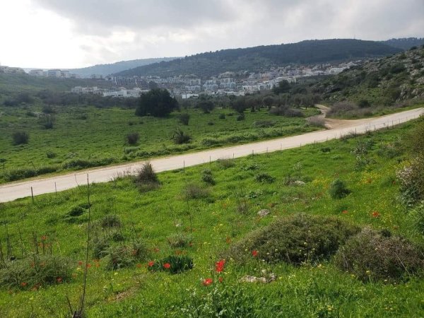  | موسوعة القرى الفلسطينية