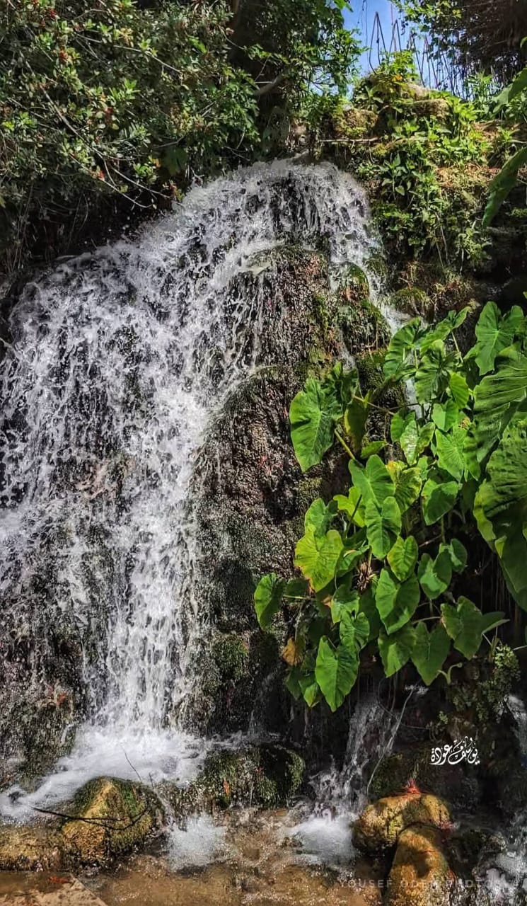  | موسوعة القرى الفلسطينية