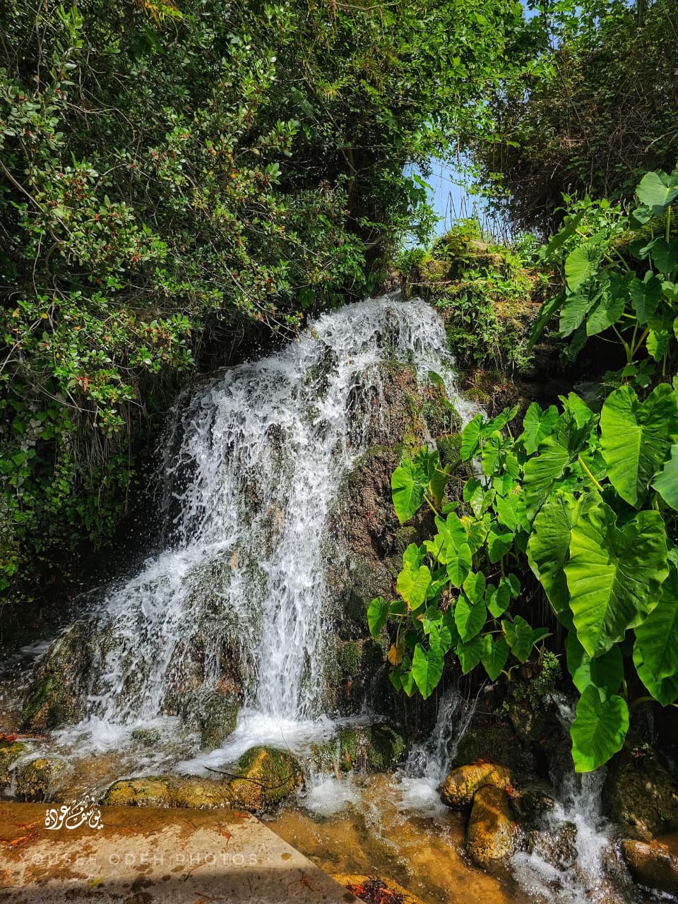  | موسوعة القرى الفلسطينية