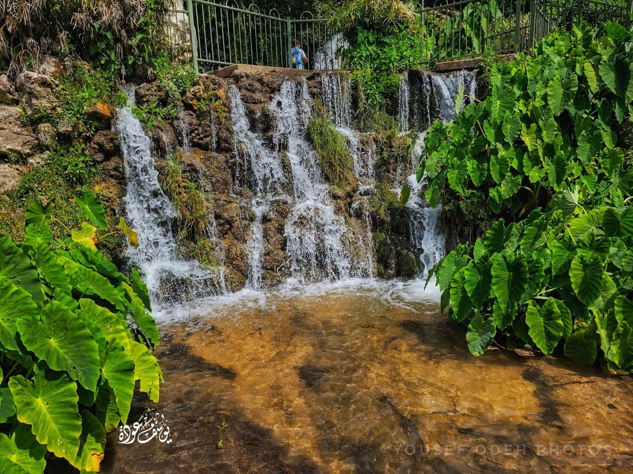  | موسوعة القرى الفلسطينية
