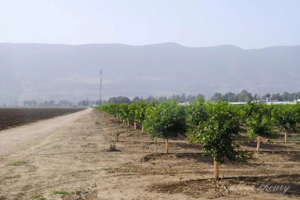  | موسوعة القرى الفلسطينية