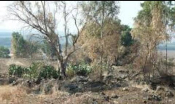  | موسوعة القرى الفلسطينية