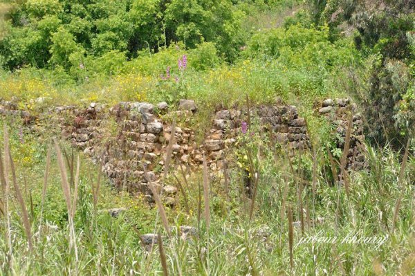  | موسوعة القرى الفلسطينية