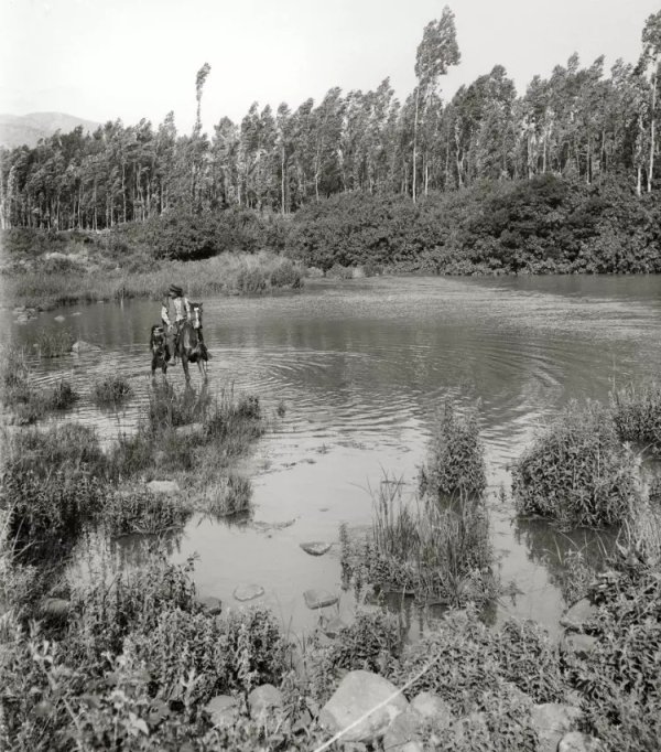  | موسوعة القرى الفلسطينية