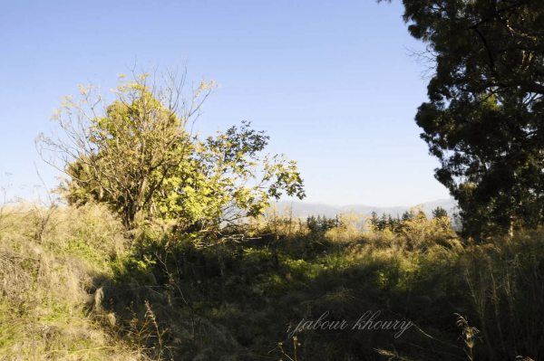  | موسوعة القرى الفلسطينية