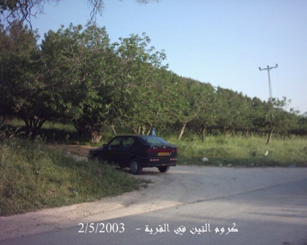  | موسوعة القرى الفلسطينية