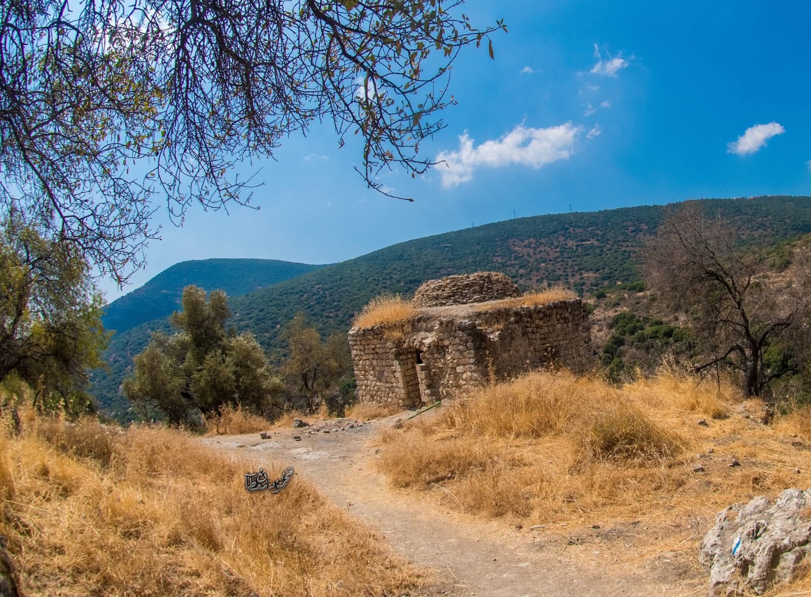  | موسوعة القرى الفلسطينية