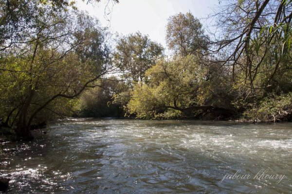 نهر بانياس عند مروره بقرية العابسية، نقلاً عن موقع فلسطين في الذاكرة