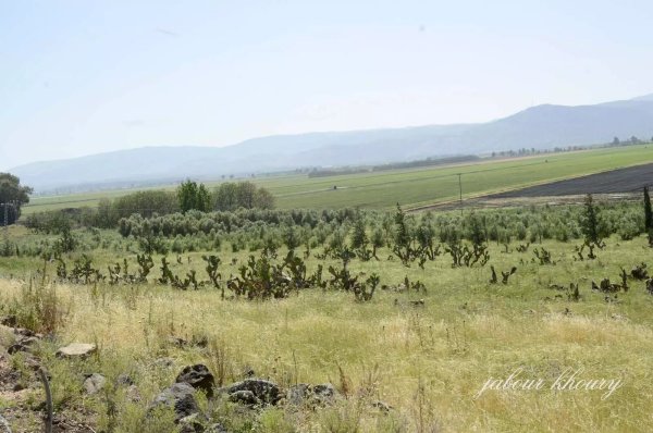  | موسوعة القرى الفلسطينية