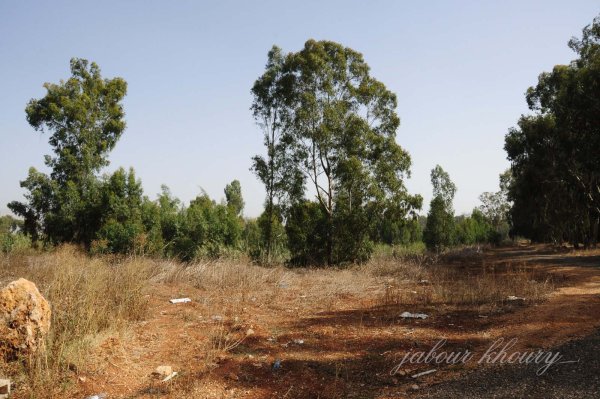  | موسوعة القرى الفلسطينية