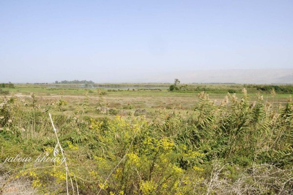  | موسوعة القرى الفلسطينية