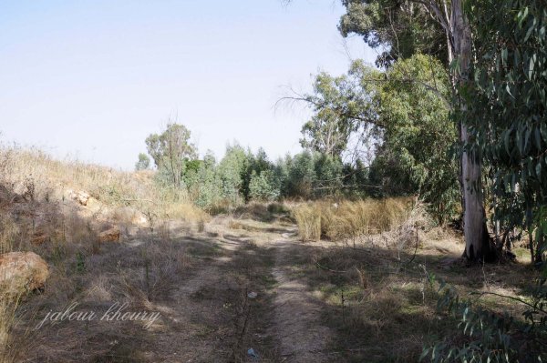  | موسوعة القرى الفلسطينية