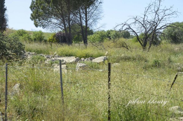 أراضي المالكية المحتلة وتظهر فيها أنقاض البيوت