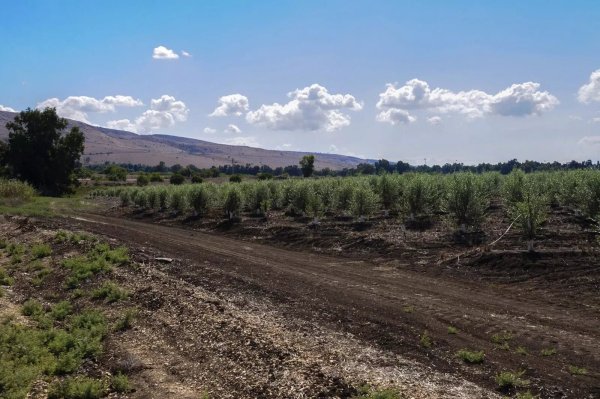 أراضي قرية المفتخرة نظرة باتجاه الجنوب الشرقي، نقلاً عن موقع فلسطين في الذاكرة.