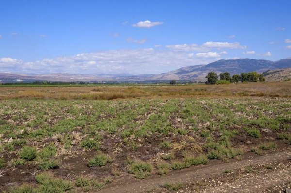 مركز القريه كان بالقرب من اشجار الكينا- نظره من الجنوب الى الشمال وفي الخلفيه تظهر مزارع شبعا، نقلاً عن موقع فلسطين في الذاكرة