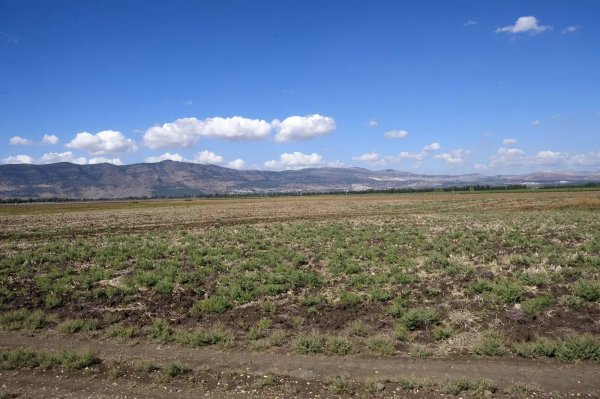 أراضي القرية من الجهة الغربية نظرة من الشرق إلى الغرب في البعيد تظهر أراضي قرية الصالحية