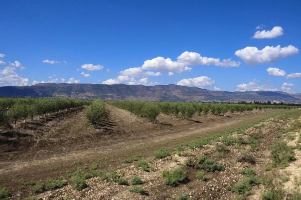 أراضي المفتخرة نظرة باتجاه الشمال الغربي، نقلاً عن موقع فلسطين في الذاكرة.