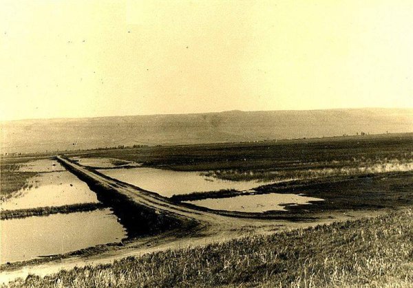  | موسوعة القرى الفلسطينية