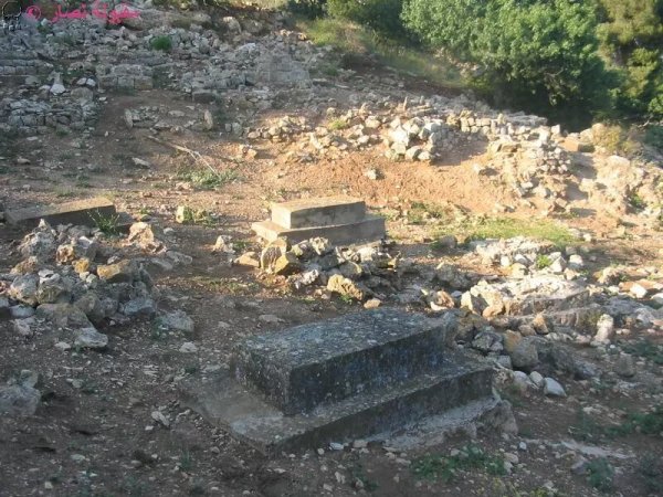 مقبرة قرية النبي يوشع بعدسة مقبولة نصار