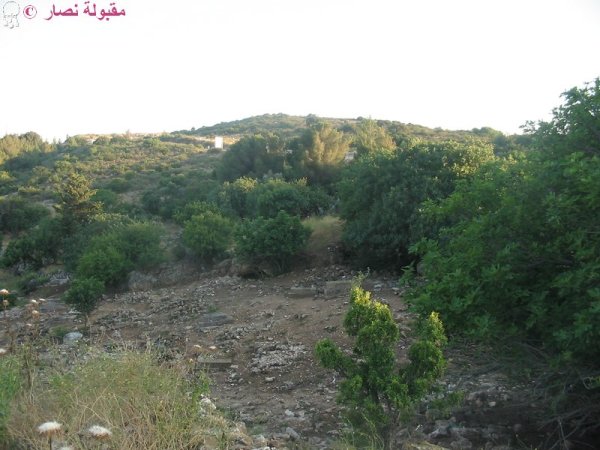موقع قرية النبي يوشع، بعدسة مقبولة نصار