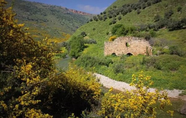  | موسوعة القرى الفلسطينية