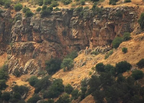  | موسوعة القرى الفلسطينية