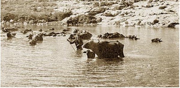  | موسوعة القرى الفلسطينية