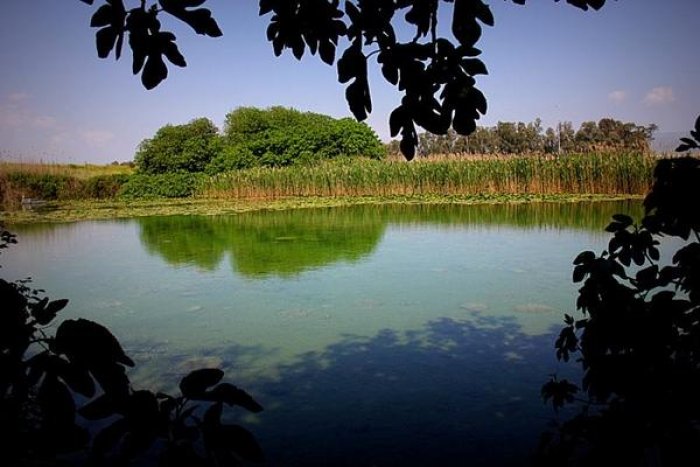 جَاحُولَا  | موسوعة القرى الفلسطينية