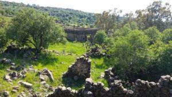  | موسوعة القرى الفلسطينية