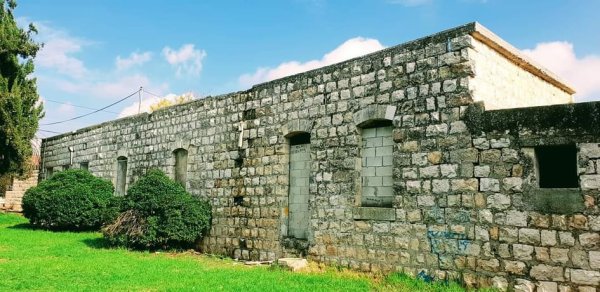 صَفْصَافْ/ الصَفْصَافْ  | موسوعة القرى الفلسطينية