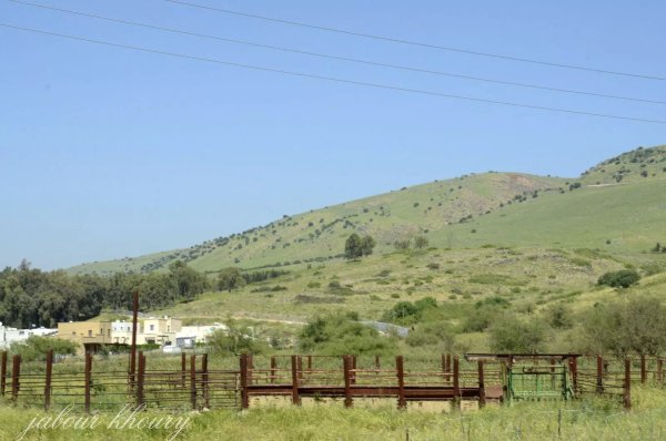  | موسوعة القرى الفلسطينية