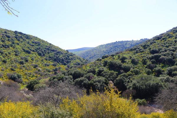 ديشوم / صفد: بعدسة الموثقة رنا عوايسة