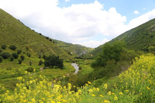 ديشوم / صفد: بعدسة الموثقة رنا عوايسة