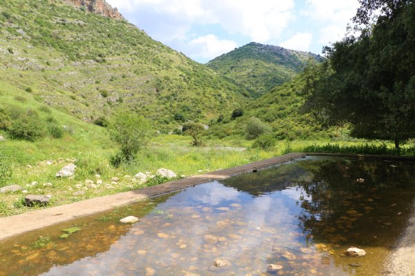 ديشوم / صفد: بعدسة الموثقة رنا عوايسة