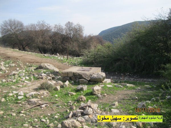 أراضي ديشوم بعدسة سهيل مخول