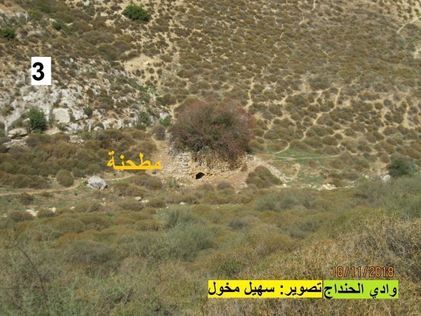 أراضي ديشوم بعدسة سهيل مخول