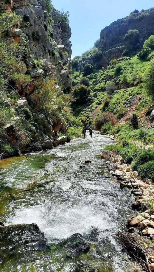 وادي ديشوم، بعدسة: أ. داود كبها