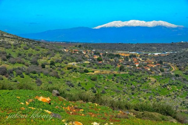 الطبيعة الساحرة من أراضي قرية ديشوم