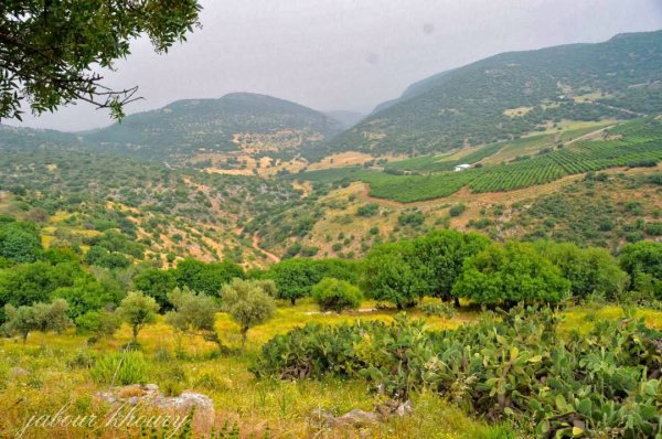 الطبيعة الساحرة من أراضي قرية ديشوم