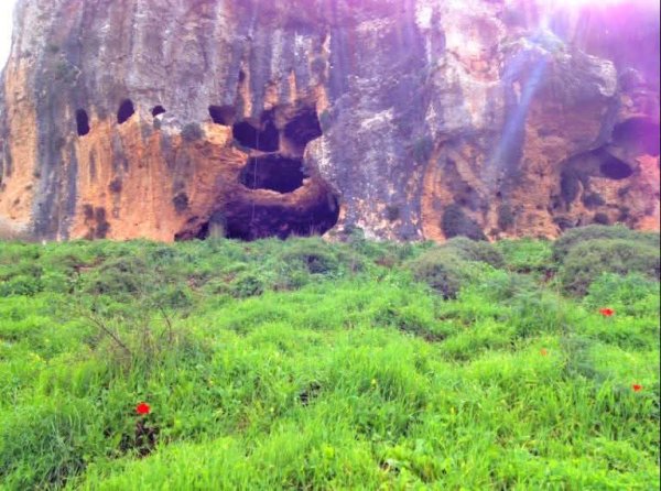 الطبيعة الساحرة من أراضي قرية ديشوم