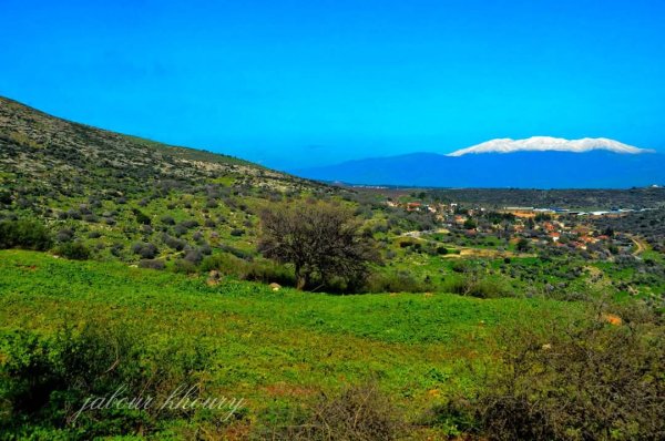 الطبيعة الساحرة من أراضي قرية ديشوم