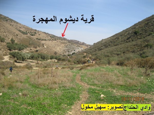 أراضي ديشوم بعدسة سهيل مخول