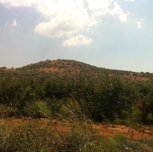 أراضي ديشوم بعدسة سهيل مخول