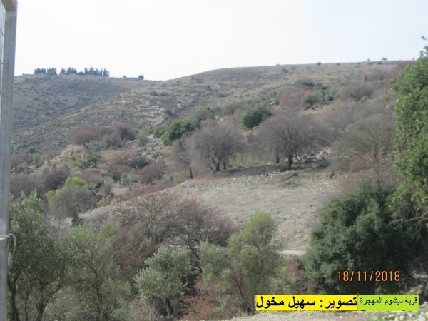 أراضي ديشوم بعدسة سهيل مخول