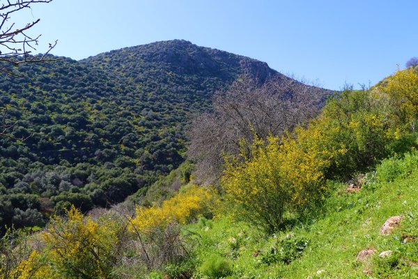 ديشوم / صفد: بعدسة الموثقة رنا عوايسة