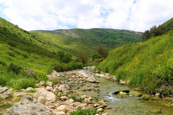 ديشوم / صفد: بعدسة الموثقة رنا عوايسة