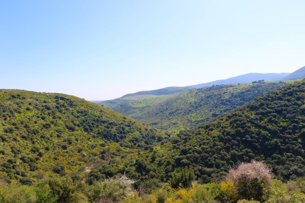 ديشوم / صفد: بعدسة الموثقة رنا عوايسة