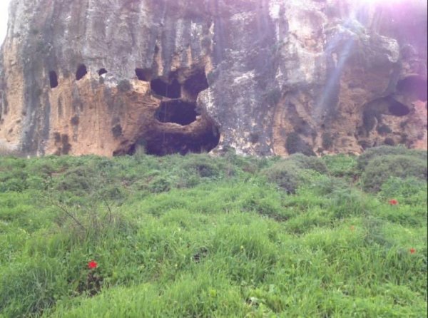 جولة في ربوع وكهوف وأودية وينابيع ديشوم، نقلاً عن موقع فلسطين في الذاكرة.