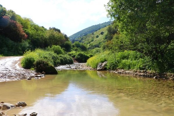 ديشوم / صفد: بعدسة الموثقة رنا عوايسة