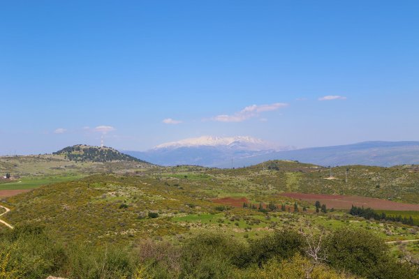 ديشوم / صفد: بعدسة الموثقة رنا عوايسة